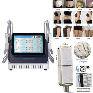 Máquina de belleza EMS Cryo Pad para pérdida de peso, estiramiento de la piel, reducción de celulitis, 4 almohadillas criogénicas, pantalla táctil portátil de 12,1" - Product Image 2