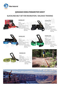 Kits de sangles <span class=keywords><strong>d</strong></span>'arrimage Hidea Factory pour la gestion de la sécurité des charges et les ensembles de ceintures <span class=keywords><strong>d</strong></span>'entraînement <span class=keywords><strong>d</strong></span>'équilibre pour slacklines de loisirs - Product Image 6