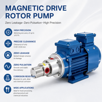 Pompe rotative à lobes sanitaire haute pression en acier inoxydable 0,5 CV avec entraînement magnétique et rotor pour l'industrie pharmaceutique