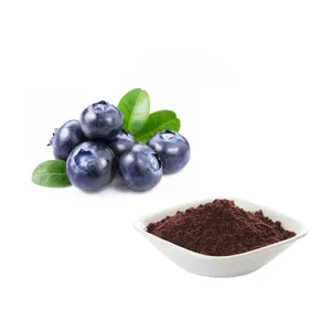 Hot Sale Brazilian Acai berry powder Acai Berry Juice Powder Acai Berry Extract Powder