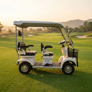 Carrito de Golf Eléctrico de Baja Velocidad, 4 Ruedas, 3 Plazas, 60V 800W, Suspensión Hidráulica, Carrocería ABS, para Campos de Golf, Resorts, Ocio y Turismo - Product Image 1