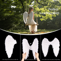 Ailes d'ange en plumes naturelles en gros, lot complet pour Halloween, cosplay, fête, fournisseur direct, fabricant d'usine