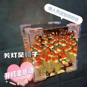 Lámpara de Noche Decorativa LED, Lámpara de Mesa DIY Hecha a Mano, Flores de Espejo, Lámpara de Noche de Tulipanes <span class=keywords><strong>para</strong></span> Dormitorio, Cumpleaños, Lámpara de Escritorio Pequeña - Product Image 6