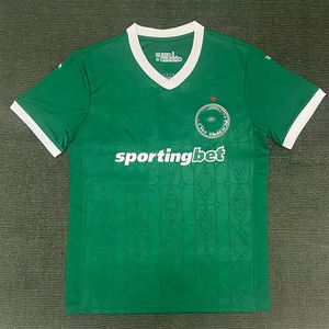 قمصان كرة قدم مخصصة لنادي بالميراس، ملابس رياضية، أطقم كرة قدم، بدلات رياضية، بدلات رجالية، قمصان رجالية - بالجملة - Product Image 4