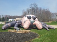 Mascotte géante gonflable en forme d'escargot de dessin animé, modèle animal gonflable personnalisé en PVC pour parcs à thème, festivals, événements, publicité et décoration
