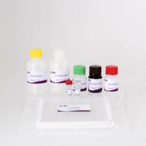 <span class=keywords><strong>Kit</strong></span> de <span class=keywords><strong>test</strong></span> d'anticorps bovin Mycobacterium ELISA | <span class=keywords><strong>Kit</strong></span> de <span class=keywords><strong>diagnostic</strong></span> de tuberculose bovine 96T | <span class=keywords><strong>Kit</strong></span> ELISA vétérinaire certifié CE - Product Image 6