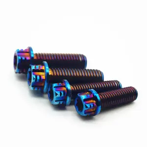 48pcs/lot Super Light M5x10mm Burning Blue Ti Titanium Screw Bolt For Disc Brake Rotors Mountain Bike&Road M5x10 T25 Torx Head|B