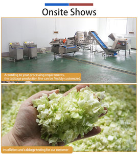 0.5-2t/h Salad Processing Line Cucumber Cabbage Lettuce Spinach Washing Cutting and Drying Line - Product Image 4
