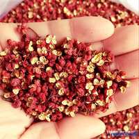 Prix de gros Fournisseur d'usine Épices Poivre Sichuan Poivre Rouge
