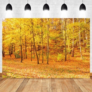 Sonbahar çiftlik ahır depo zemin Backdrop kabak sepeti saman bebek portre fotoğrafçılığı arka fotoğraf fotoğraf stüdyosu - Product Image 5