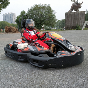 Kart de Alquiler TSKART con Motor de Gasolina de 200cc, Alta Seguridad, Asiento Individual, <span class=keywords><strong>para</strong></span> Pistas Interiores y Exteriores, Certificado CE - Product Image 2