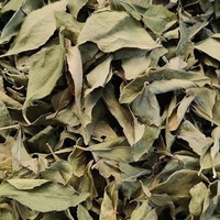 Feuilles de Curry Entières Séchées, Extrait Végétal Naturel, Traitement AD, Épice en Vrac pour Assaisonnement Alimentaire