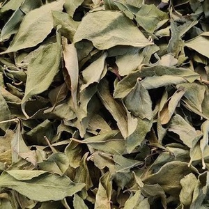 Hojas de Curry Secas Enteras, Extracto Natural de Plantas, Procesadas con AD, Hojas de Especias a Granel para Sazonar Alimentos - Product Image 4