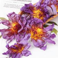 Thé de fleurs de lotus bleues séchées naturellement en sachets, thé santé au parfum délicat pour la vitalité et les soins de la peau