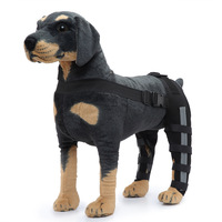 Attelle de soutien pour la marche à deux pattes arrière pour chiens seniors - Immobilisation post-opératoire, ambulation assistée, design tendance, facile à porter