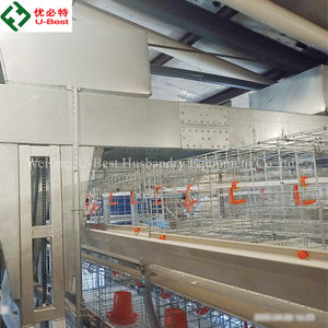 Comedero Automático <span class=keywords><strong>para</strong></span> <span class=keywords><strong>Pollos</strong></span> en Oferta, Equipo <span class=keywords><strong>de</strong></span> Avicultura, Jaula <span class=keywords><strong>para</strong></span> <span class=keywords><strong>Pollos</strong></span> <span class=keywords><strong>de</strong></span> Engorde <span class=keywords><strong>para</strong></span> 10000 <span class=keywords><strong>Pollos</strong></span>, Alta Calidad - Product Image 5