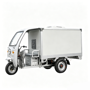 Tricycle <span class=keywords><strong>frigorifique</strong></span> électrique pour la livraison d'aliments surgelés et <span class=keywords><strong>le</strong></span> <span class=keywords><strong>transport</strong></span> de glaces - Product Image 1
