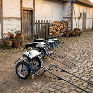 Chariot à chevaux à deux roues de haute qualité, directement de l'usine, chariot d'occasion pas cher, chariot à chevaux de style nouveau - Product Image 1