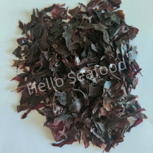Chef-Grade Dulse Flakes Tecnología de deshidratación industrial Conserva el color natural Ideal Gourmet Guarnición - Product Image 5