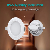 Projecteur LED d'urgence sans outil à installation rapide pour piscine, IP65, industriel, LiFePO4, autonomie 3H, auto-test, sauna