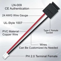 Conector Hembra Tipo-C LN-009 con Cable, Conector USB C de 2 y 4 Pines, Enchufe de Carga Precableado para Proyectos Electrónicos DIY