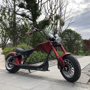 Générateur électrique 10000w, congélateur électrique, vélo électrique 48v, batterie de vélo électrique, scooters électriques, tricycles électriques, Citycoco, entrepôt UE/USA - Product Image 5