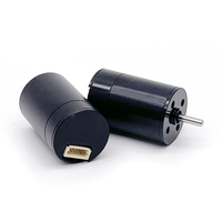 Machine à tatouer moteur magnétique sans noyau 16mm 20mm 22mm petit moteur à courant continu sans noyau rotatif