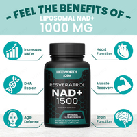 Compléments nutritionnels certifiés HACCP GMP Lifeworth NAD+ 60 capsules/flacon pour le soutien énergétique cellulaire et la protection antioxydante