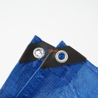 Bâche de protection agricole en polyéthylène stabilisée aux UV, imperméable, pour usage agricole et en serre