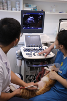 Appareils de diagnostic ultrasonores portables, échographe Doppler couleur cardiaque et vasculaire, machine à ultrasons vétérinaire