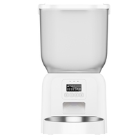 Distributeur automatique intelligent 4L personnalisé en usine pour animaux de compagnie, avec bol unique en acier inoxydable et plastique, affichage LCD à piles, pour porcs