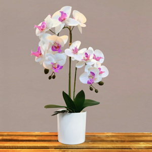 Vendeur chaud Real Touch fleurs d'orchidées artificielles pour la décoration <span class=keywords><strong>de</strong></span> la maison <span class=keywords><strong>Pot</strong></span> <span class=keywords><strong>Culture</strong></span> déc. Fleurs artificielles dans des pots décoratifs - Product Image 6