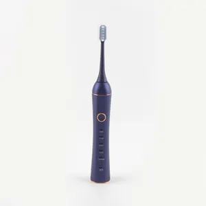 Brosse à dents électrique CE/ROHS IPX7 800mAh de haute qualité