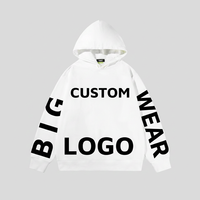Sudadera con Capucha de Invierno de Alta Calidad, Personalizada con Logotipo en 3D, 300GSM, Algodón, Unisex, Talla Grande, Sudadera con Capucha de Anime OEM para Hombre