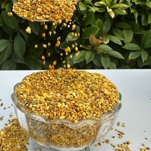 Polen de Abeja Mixto 100% Puro y Alto en Proteínas (Envasado en Botella y Bolsa) - Vitaminas |    Polen de Abeja en Polvo a Granel, Muestra Gratis, al Mejor Precio - Product Image 6