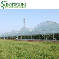 Serre Agricole Intelligente 30x96m Tunnel Culture Système Hydroponique Structure de Serre