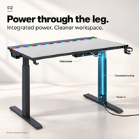 Pieds de bureau en métal avec alimentation électrique, table élévatrice, bande lumineuse RGB, gestion des câbles, bureau commercial MAGNUSS