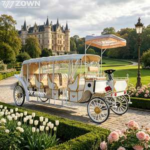 Voiture de tourisme électrique sans chevaux pour extérieur, structure métallique, véhicule de visite pour parcs à thème, stations balnéaires, défilés et célébrations - Product Image 1