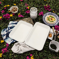 Assiettes rectangulaires jetables en bagasse de canne à sucre avec plateau pour les fêtes d'anniversaire de mariage et le camping