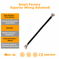 Kabel Sensor Termistor NTC Tembaga dengan Segel Kaca untuk IoT Komputer Suhu Tinggi Sepeda Motor
