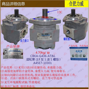 Shengan Brand Agent + Hefei Liwei CBKA-G436-AT&L Gear Pump 13 Left 1 Right 1 Screw Rear <b>Used</b> <b>Industrial</b> <b>Machinery</b> - Product Image 2