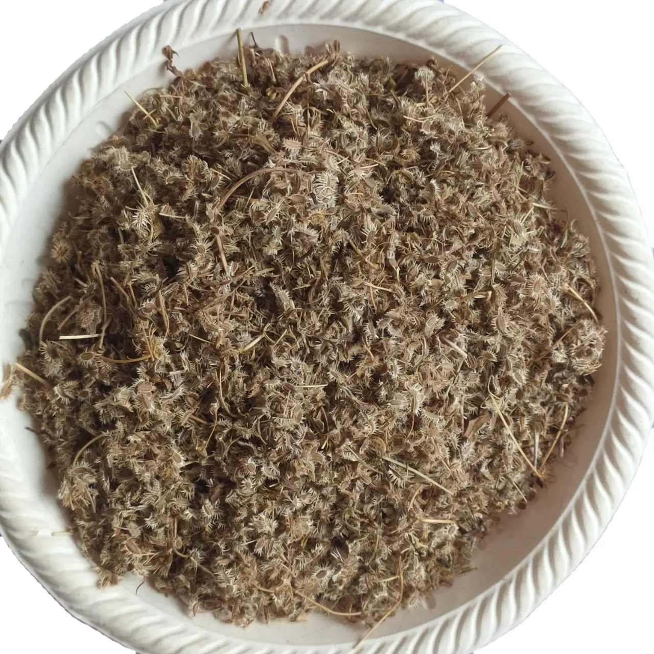 Nan he shi natural dried Wild Carrot Fruit for herb