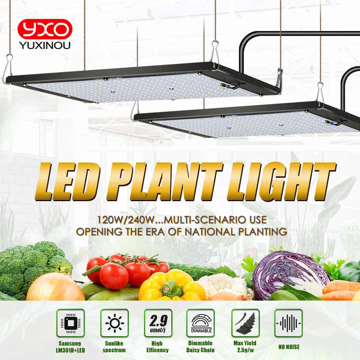 YUXINOU LEDグロウライト  240w YUXINOU LEDグロウライト 240w