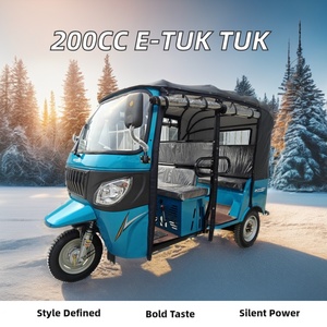 รถสามล้อตุ๊กตุ๊กแบบมีหลังคา ขนาด 150 ซีซี 200 ซีซี  สำหรับโดยสาร  กำลังสูงขึ้น  แบบปิด  ขนาด 250 ซีซี สำหรับบรรทุกสินค้า ขับเคลื่อนด้วยเครื่องยนต์ - Product Image 3