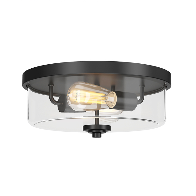 Home Living Room Led Ceiling Light New Design Hot Sale Black Indoor Decorative Ceiling Lights