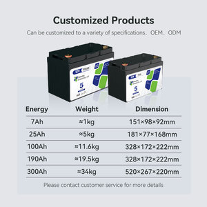 Batería de Litio de 12V 24V 100Ah 200Ah 300Ah para Logística de Cadena de Frío, Control de Temperatura y Energía de Respaldo para Plataformas de Perforación Petrolera - Product Image 3