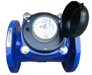 Abnehmbares Element Woltman Kalt-/ Heißwassermeter, Woltman-Wassermeter aus Guss oder Kunststoff, DN50-DN300-Wassermeter
