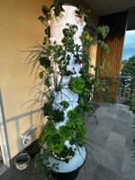 Serre agricole en plastique PVC, système hydroponique vertical, petit jardin en tour monocouche