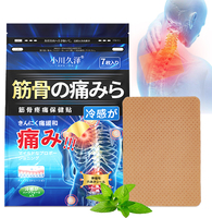 Pansement Corporel Poré de Médecine Traditionnelle Chinoise, Adhésif Médical Perforé Certifié IOS de Haute Qualité pour le Rhumatisme