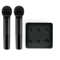 Hiaudio UHF Plastik Karaoke Kablosuz Mikrofon Mikser Sistemi OEM ODM Çift Kanallı Dahili BT Bağlantılı Soundbar Toplantı Amfisi